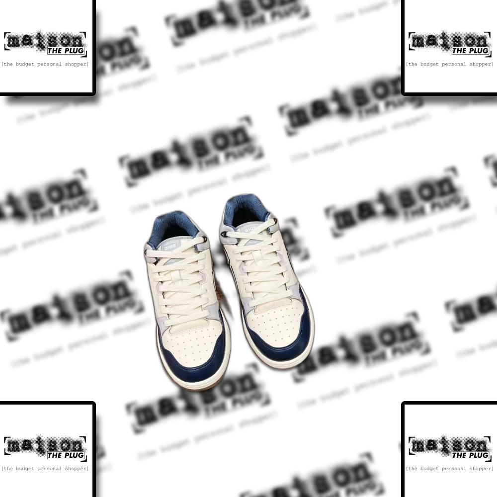 Dior B27 Low Top Sneaker White Navy
